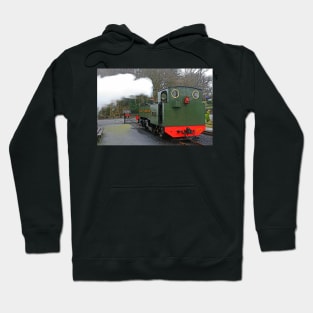 Steam Up at Devil's Bridge, February 2020 Hoodie